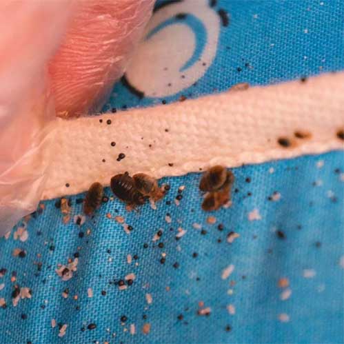 Изображение-2